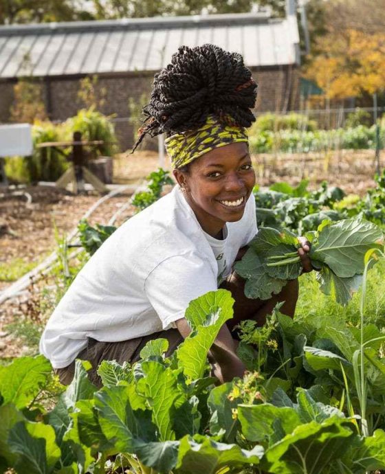 Agriculture Productivity